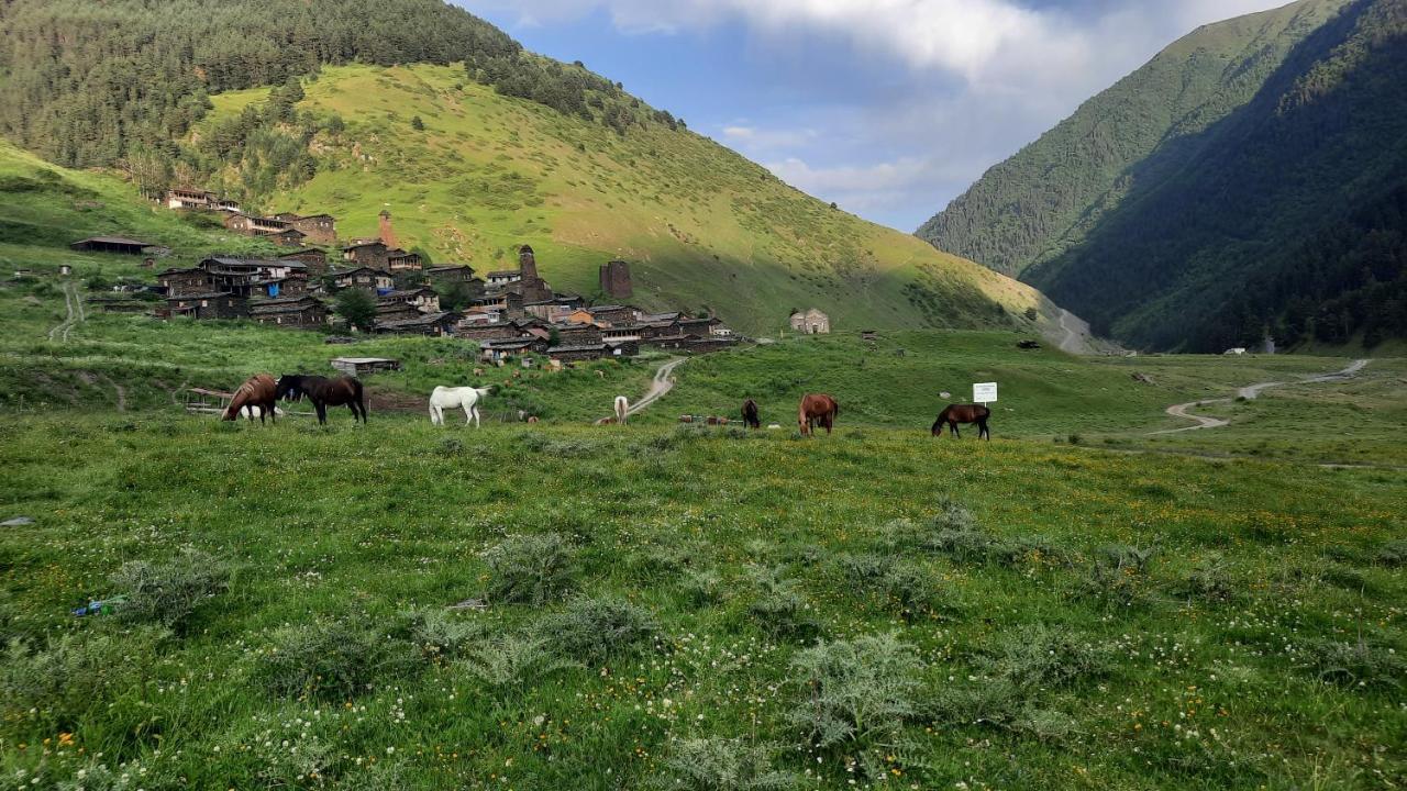 Guesthouse Pirimze Dartlo Екстериор снимка