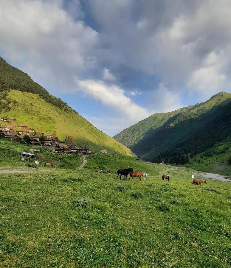 Guesthouse Pirimze Dartlo Екстериор снимка